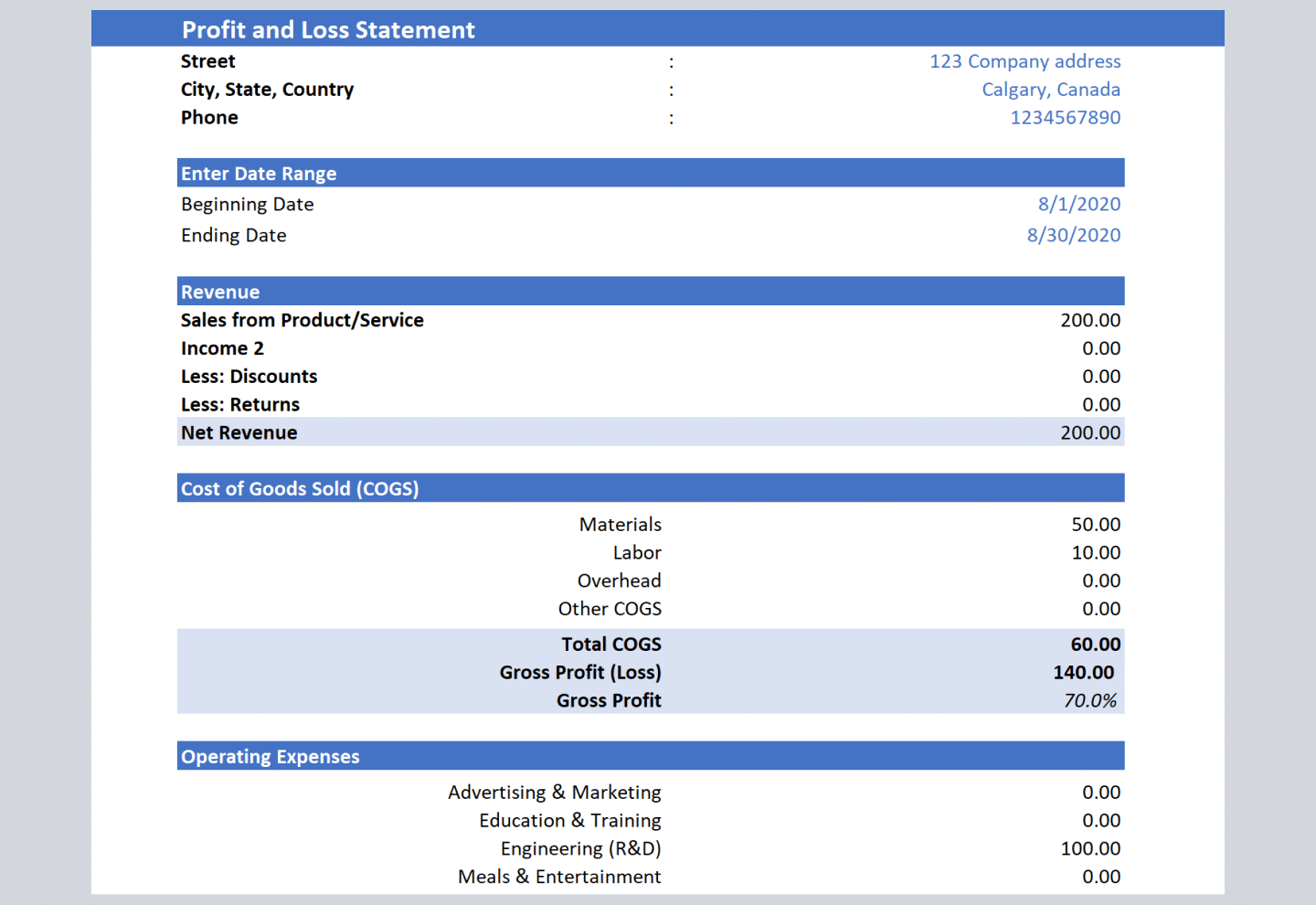 Profit and Loss template from Vencru