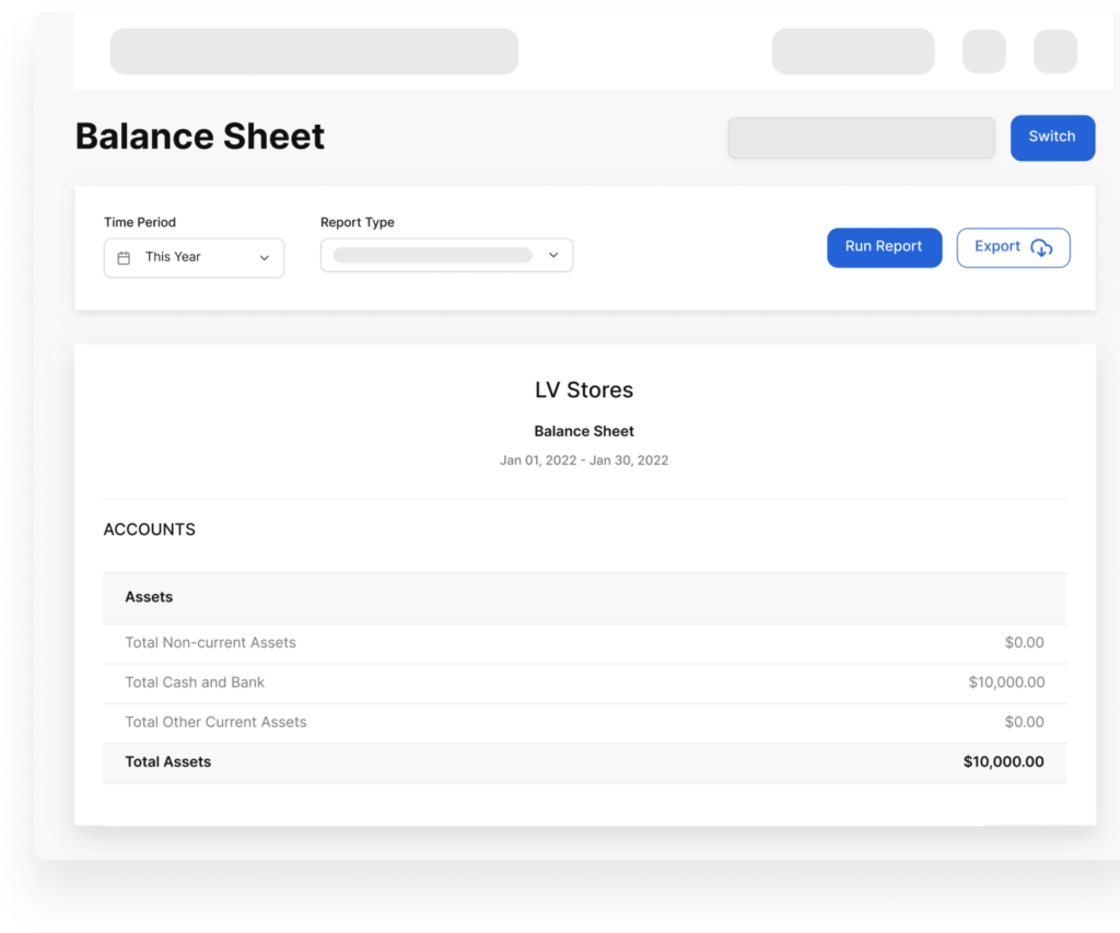 balance sheet software